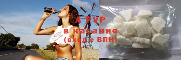 крисы Ростов