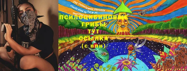 прущие крисы Аркадак